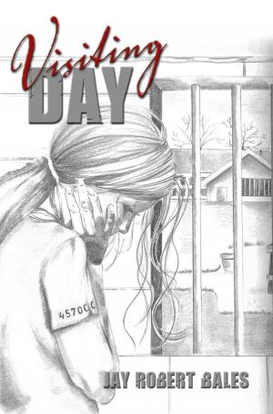 Cover of the book Visiting Day by Carl J. Barger
