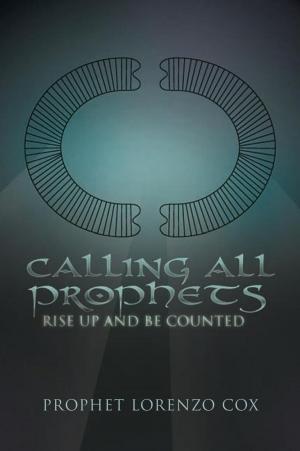 Cover of the book Calling All Prophets- Rise up and Be Counted by John Martin Hill