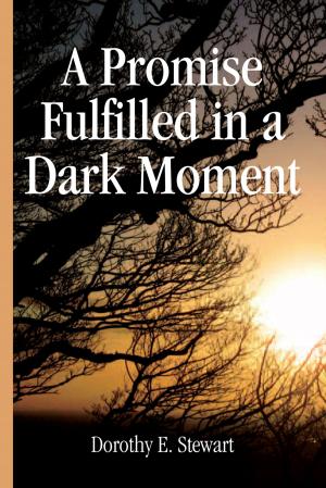bigCover of the book A Promise Fulfilled in a Dark Moment by 