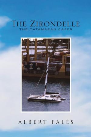 Cover of the book The Zirondelle by Quincy O'Niel