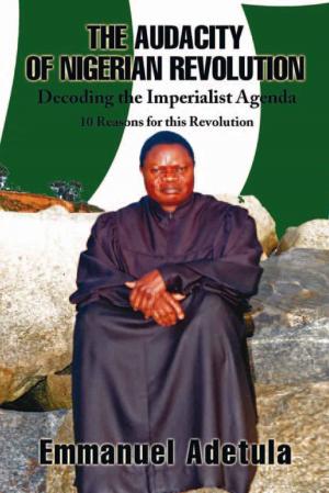 Cover of the book The Audacity of Nigerian Revolution by Adiem Black