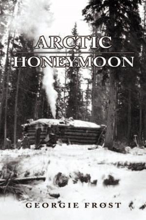 Cover of the book Arctic Honeymoon by Lucy Turley Denson