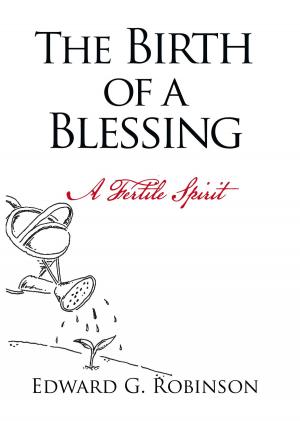 Cover of the book The Birth of a Blessing by Helen Zoe Dubenski