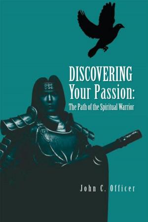 Cover of the book Discovering Your Passion: the Path of the Spiritual Warrior by James VanAntwerp