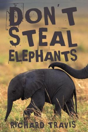Cover of the book Don't Steal Elephants by Georgia Barnes