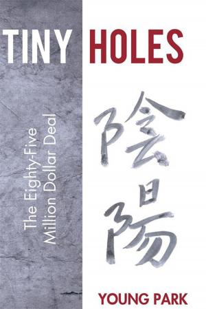 Cover of the book Tiny Holes by Michelle Burgin