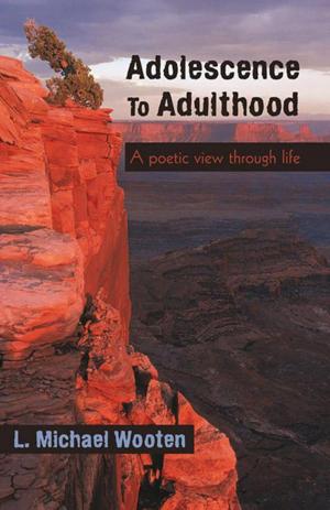 Cover of the book Adolescence to Adulthood by Jacob Roth
