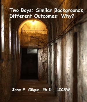 Cover of the book Two Boys, Similar Backgrounds: One Goes To Prison and One Does Not: Why? by Erin Lee