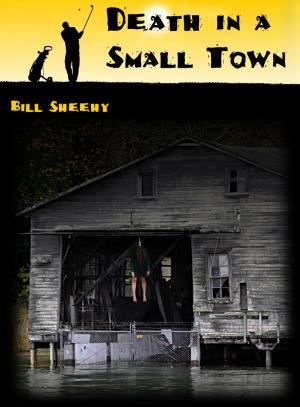 Book cover of Death in a Small Town