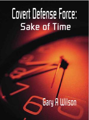 Cover of Sake of Time