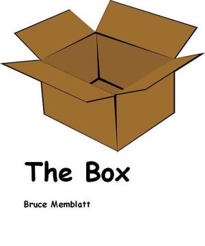 Cover of the book The Box by Bruce Memblatt