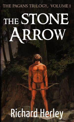 Cover of The Stone Arrow