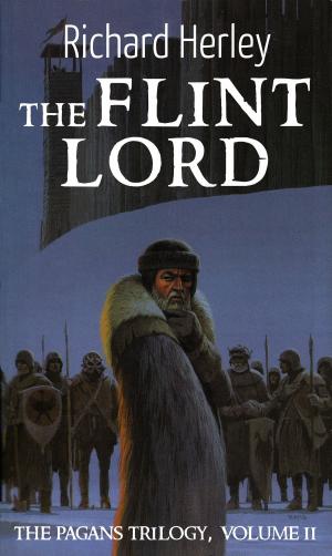 Cover of the book The Flint Lord by Steven Porter