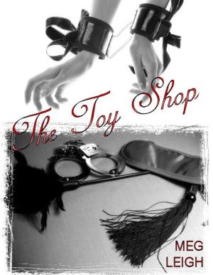 Cover of the book The Toy Shop by Tonino Scala