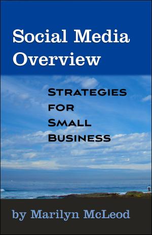 Cover of Social Media Overview: Strategies for Small Business