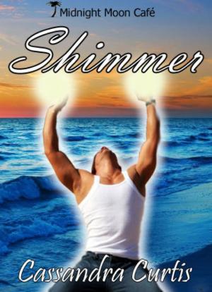 Book cover of Shimmer