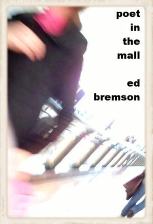bigCover of the book Poet in the Mall by 