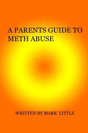 Book cover of A Parents Guide To Meth Abuse