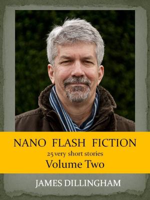 Book cover of Nano Flash Fiction Volume Two
