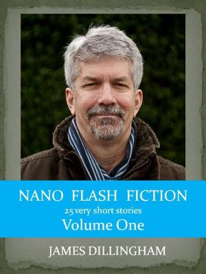 Cover of the book Nano Flash Fiction Volume One by Mark Webb