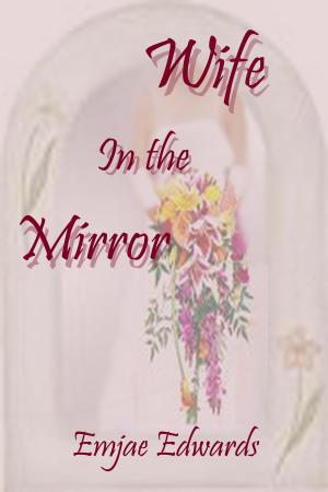 bigCover of the book Wife in the Mirror by 