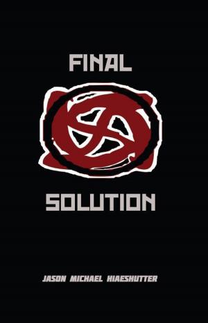 Cover of the book Final Solution by Chris Pinney