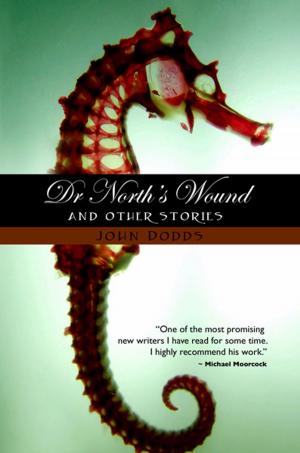 Cover of the book Dr. North's Wound and Other Stories by Jeff Goguen