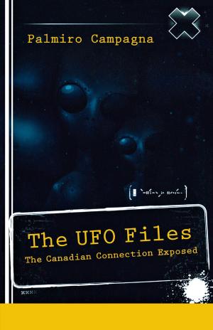Cover of the book The UFO Files by Karen Shadd-Evelyn