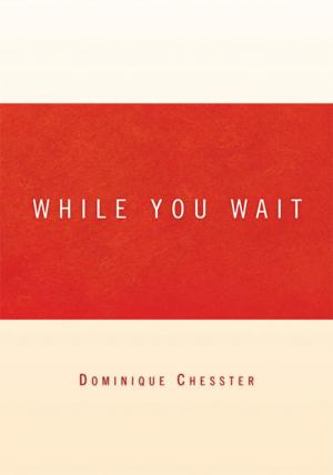 Cover of the book While You Wait by Erwin Wetzel-Richli