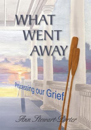 Cover of the book What Went Away by Fiona Donovan