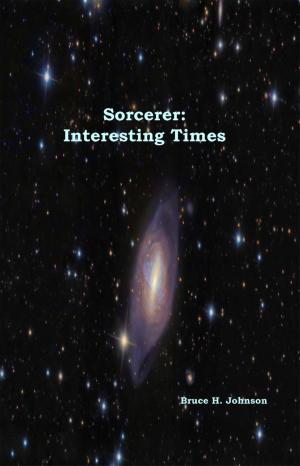 Cover of the book Sorcerer: Interesting Times by Tim Pratt