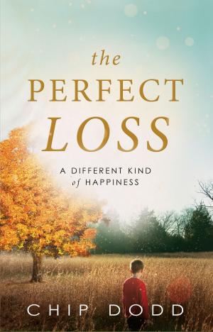 Cover of the book The Perfect Loss by K'wan