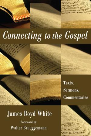 Book cover of Connecting to the Gospel