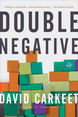 Cover of the book Double Negative by Lisa Greenwald