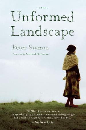 Cover of the book Unformed Landscape by Edgar Morin, Stephane Hessel