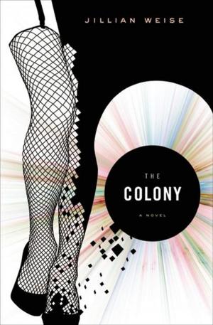 Cover of the book The Colony by Johan Hefer