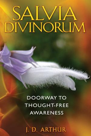 bigCover of the book Salvia Divinorum by 