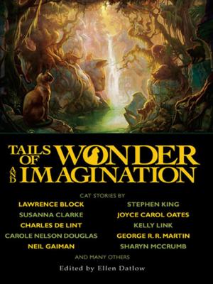 Cover of the book Tails of Wonder and Imagination by Kameron Hurley