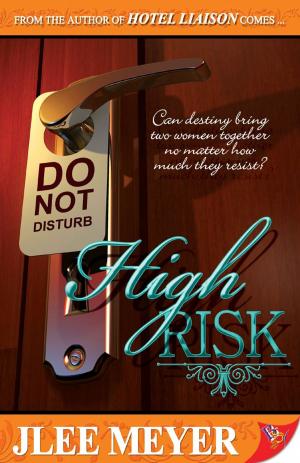 Cover of the book High Risk by VK Powell