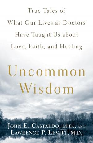 Cover of the book Uncommon Wisdom by Nicholas E. Brink, Ph.D.