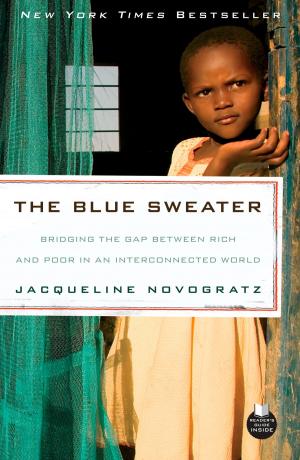 Cover of the book The Blue Sweater by Gil C. Schmidt