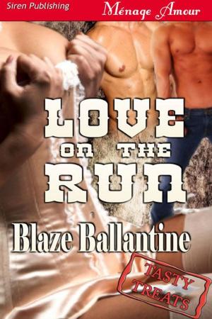 Cover of the book Love On The Run by Natalie Acres