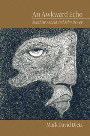 Cover of the book An Awkward Echo by Sandra M. Estanek, Robert S. Meyer, Laura A. Wankel, Edward P. Wright