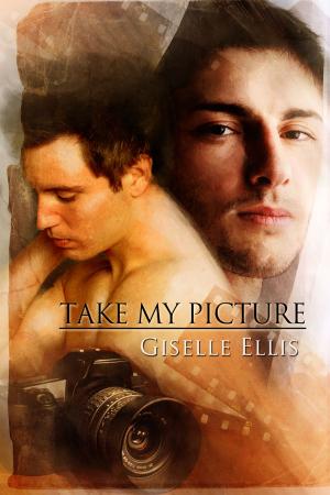 Cover of the book Take My Picture by M.J. O'Shea