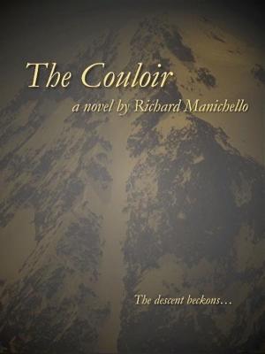Cover of the book The Couloir by Robert Swayze