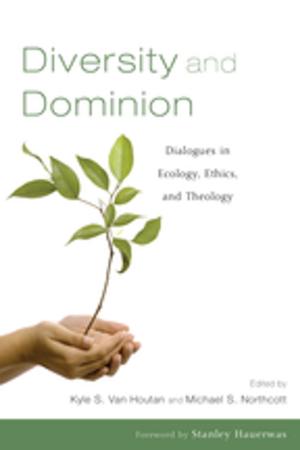 Cover of the book Diversity and Dominion by Brigitte Giraud