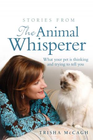 Cover of the book Stories from the Animal Whisperer by Paul Allam, David McGuinness