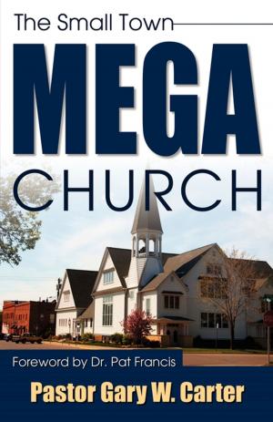 bigCover of the book The Small Town Mega Church by 