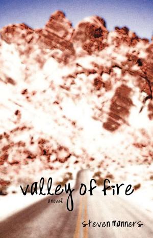 Cover of the book Valley of Fire by Bernice Gold