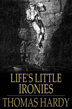 Cover of the book Life's Little Ironies by Captain Quincy Allen
